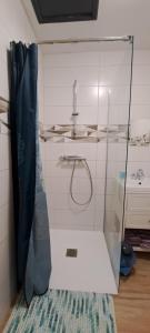 een badkamer met een glazen douche en een wastafel bij Ty Coeur Breizh in Saint-Aignan