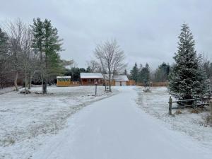 Log Home w Mountain Views Near Windham & Hunter Ski Resorts v zimě