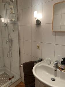 ein Bad mit einer Dusche, einem Waschbecken und einem Spiegel in der Unterkunft Gartenzimmer zwischen den Meeren in Ladelund