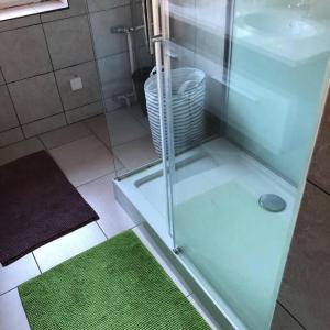a shower with a glass door in a bathroom at APARTMENT OWL in Kořenov