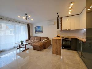 科托尔Paun apartment的配有沙发和桌子的厨房和客厅