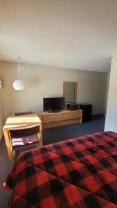 1 dormitorio con cama, escritorio y escritorio en Lumberjack Inn en Hayward