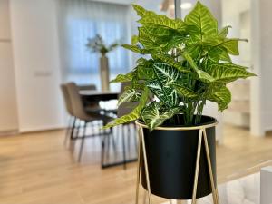 Imagine din galeria proprietății La Masion de Tout Seasonal Rental în El Campello +74 fotografii