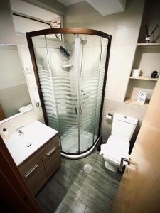 a bathroom with a shower and a toilet at Apartamento Vistafranca in Málaga