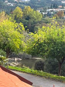a view of a river from the roof of a house at Casa da Linha in Amarante