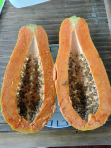 two halves of a papaya with seeds inside at Happy Coconut Camiguin in Mambajao
