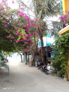 Aed väljaspool majutusasutust Ocean Way Guraidhoo