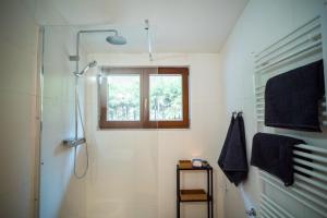 TV a/nebo společenská místnost v ubytování Apartmán Remedy