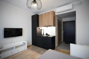 Kuchyň nebo kuchyňský kout v ubytování Riia Kvartal Apartment