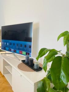 a tv sitting on a white desk with a plant at RELAX APPARTEMENT - Graz in Graz