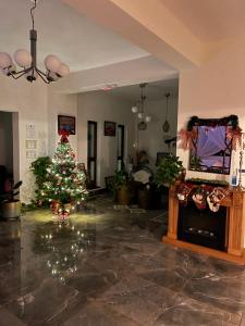 a christmas tree in a living room with a fireplace at Pensiunea Berg Hill in Băile Olăneşti