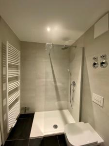 a bathroom with a shower and a toilet at Modernes Apartment in zentraler Lage in Chemnitz