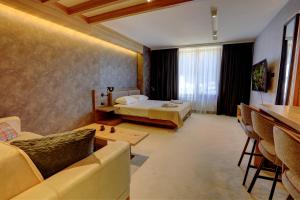 科帕奥尼克Tramontana Kopaonik Woodside 201, FREE Parking & SPA的一间酒店房间，里面有一张床和一张沙发