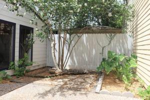 a garden with a tree next to a house at 2 BDR with Workspace & Patio in Montrose in Houston