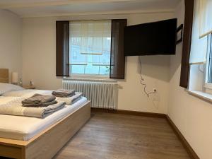 艾斯特維達的住宿－Ferienwohnung zum Winterberg，卧室配有一张床,墙上配有电视