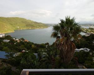 a view of a body of water with a palm tree at Guinea Fowl Loft in Knysna