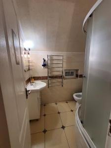 a small bathroom with a sink and a toilet at Guest house in Umanʼ