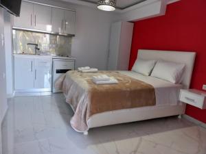 Кухня или мини-кухня в House Blerina
