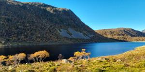 a view of a lake with mountains in the background at Sokkel Leiligheten in Bøstad +14 photos