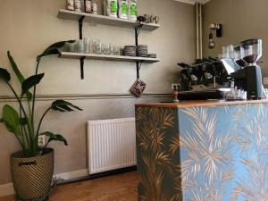 uma cozinha com um balcão e um vaso de plantas em Herberg De Eexter Os em Eext