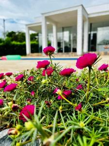 Zahrada ubytování ¡Quinta al Cielo!