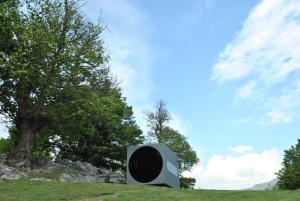 蒙特卡罗索Birdbox Curzútt的背景中树的地表标