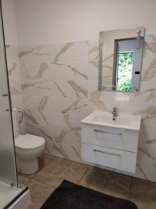 a bathroom with a toilet and a sink and a mirror at Apartamenty nad jeziorem in Mikołajki