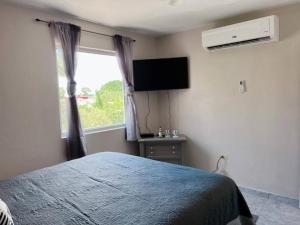 Schlafzimmer mit einem Bett, einem Fenster und einem TV in der Unterkunft Orsini Beach Apartment in Aguadilla