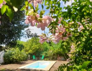a swimming pool in a garden with pink flowers at Casona Leyría Boutique in Azul