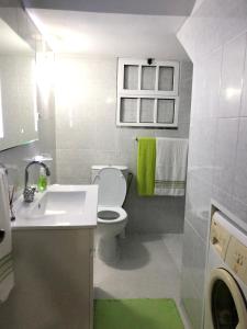 a small bathroom with a toilet and a sink at 2 bedrooms apartement with sea view private pool and enclosed garden at Lombo Do Doutor 1 km away from the beach in Calheta