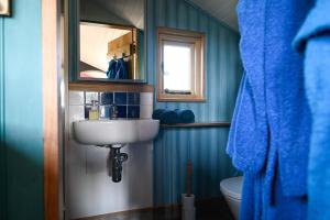 a bathroom with a sink and a mirror and a toilet at Dôl Swynol Glamping Luxury cabin with outdoor bath in Aberystwyth +13 photos