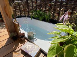 a plunge pool with a fountain in a garden at Dôl Swynol Glamping Luxury cabin with outdoor bath in Aberystwyth