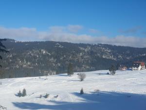 Chalet The Best View durante l'inverno