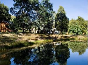 Daylesford FROG HOLLOW ESTATE- The Retreat في ديلسفورد: انعكس على منزل واشجار في الماء