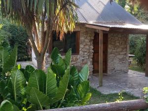 a stone house with a palm tree in front of it at Bosque & Mar in Mar del Plata