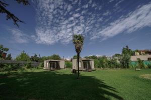 una palmera en medio de un patio en MiniCasas Modulares en Godoy Cruz