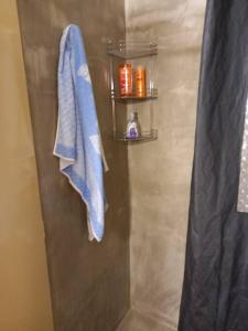 y baño con ducha y toalla azul. en Departamento Ameghino en Resistencia