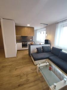 Kuchyň nebo kuchyňský kout v ubytování Apartmán Pod zámkem