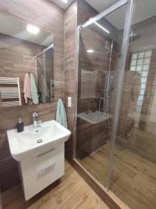 uma casa de banho com um lavatório e um chuveiro em Apartmán Pod zámkem em Mikulov