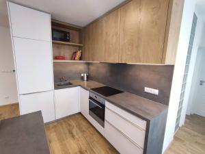 Kuchyň nebo kuchyňský kout v ubytování Apartmán Pod zámkem