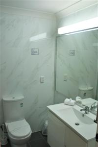 a bathroom with a toilet and a sink and a mirror at Club Motel Armidale in Armidale