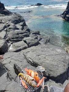 a basket of seafood sitting on rocks near the ocean at Figo Apartamentos Cidadela Comfort Flats in Praia