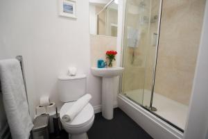 y baño con aseo, lavabo y ducha. en Swan Studio Seven - Coventry en Coventry