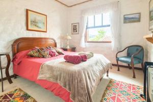1 dormitorio con 1 cama, 1 silla y 1 ventana en La Vie en Rose, en Campos do Jordão