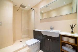 a bathroom with a toilet and a sink and a shower at Beautiful one bed apartment in Bath