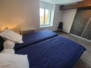 een slaapkamer met een bed met blauwe lakens en een raam bij Gîte Velotte-et-Tatignécourt, 4 pièces, 6 personnes - FR-1-589-252 in Velotte-et-Tatignécourt
