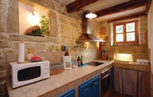 a kitchen with a microwave and a sink at Family friendly house with a swimming pool Kranjcici, Central Istria - Sredisnja Istra - 20585 in Svetvinčenat
