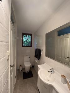 Lyons的住宿－Studio at the Back of Mount Taylor，白色的浴室设有水槽和卫生间。