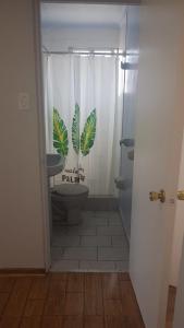 La salle de bains est pourvue de toilettes et d'un rideau de douche. dans l'établissement Hermoso Depto Vista al Valle, à Rancagua