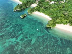 an aerial view of a beach with trees and water at Dragon House Misakicho - Vacation STAY 86282v in Ishigaki Island